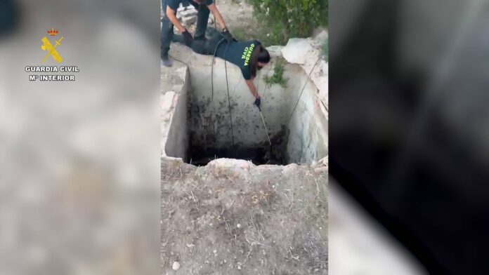 rescate_zorro_pozo_aspe_01