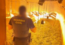 La Guardia Civil desmantela un cultivo de marihuana en el casco antiguo de Villena y detiene a un matrimonio