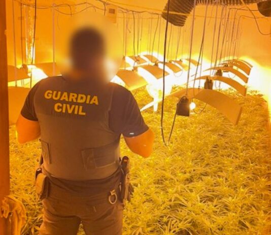 La Guardia Civil desmantela un cultivo de marihuana en el casco antiguo de Villena y detiene a un matrimonio