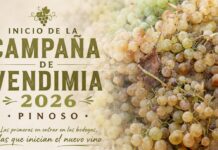 El Pinós inicia la campaña de la vendimia 2026