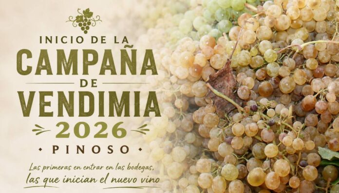 inicio_campana_vendimia_2026_pinoso