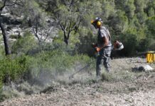 El Pinós refuerza la prevención de incendios forestales