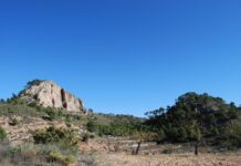 La Diputación concede una ayuda a El Pinós para el Monte Coto