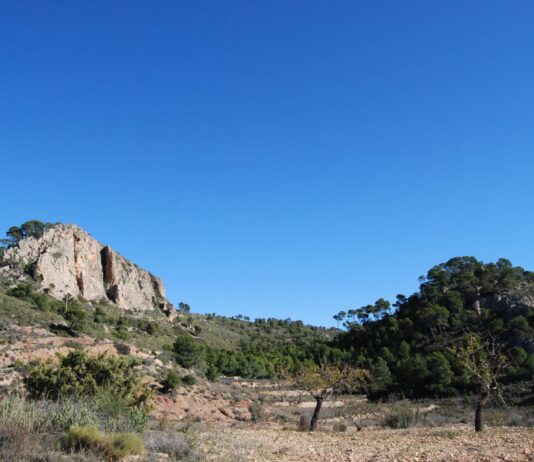 La Diputación concede una ayuda a El Pinós para el Monte Coto