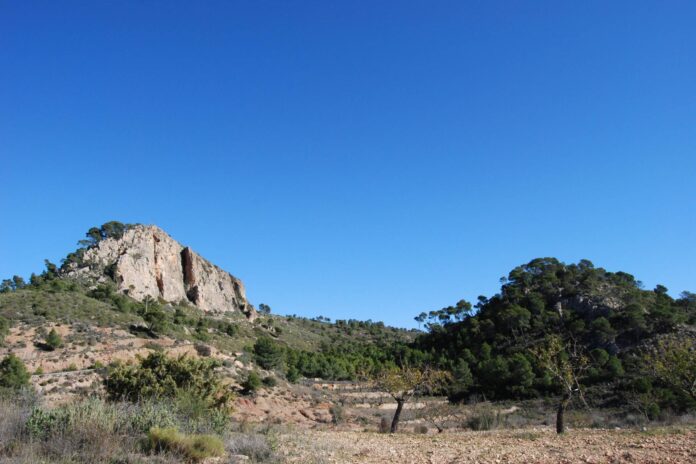 paisaje_monte_coto