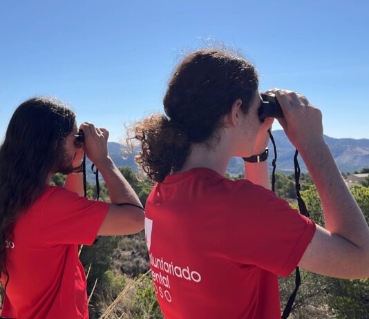 El Pinós recibe una subvención para el Voluntariado Ambiental