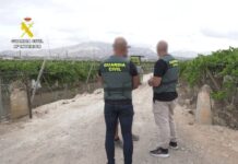 Dos detenidos y un tercer hombre investigado por robos de uva embolsada en Monforte del Cid