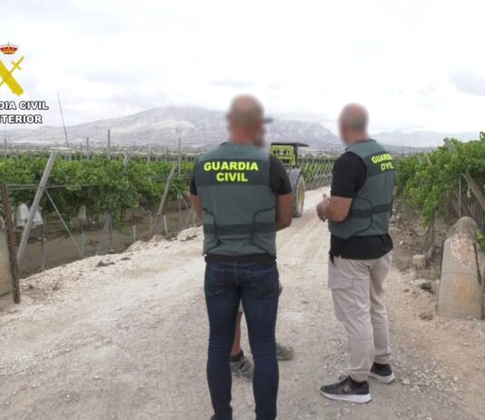 Dos detenidos y un tercer hombre investigado por robos de uva embolsada en Monforte del Cid