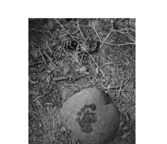 Elda acoge la exposición fotográfica “Impronta”