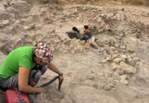 El yacimiento del Tabayá de Aspe adquiere notoriedad a nivel europeo