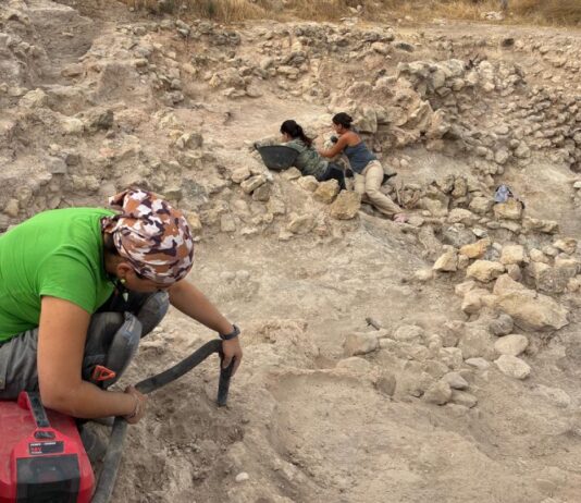 El yacimiento del Tabayá de Aspe adquiere notoriedad a nivel europeo